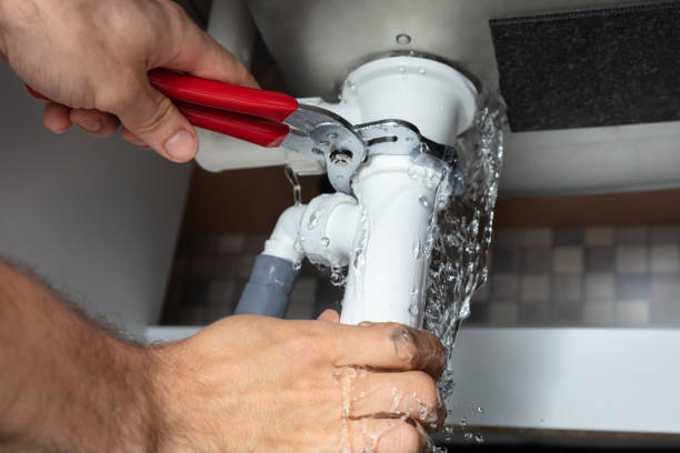 Best Local water damage restoration  in West Freehold, NJ