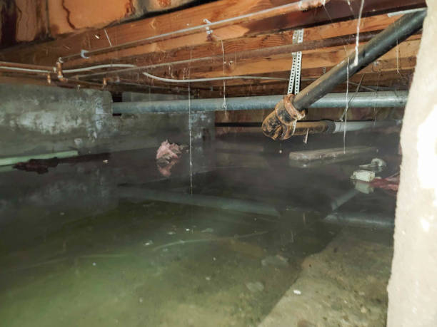 Best Emergency water damage restoration  in West Freehold, NJ