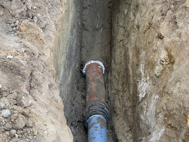 Best Professional water damage repair  in West Freehold, NJ