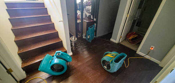 Best Carpet water damage restoration  in West Freehold, NJ