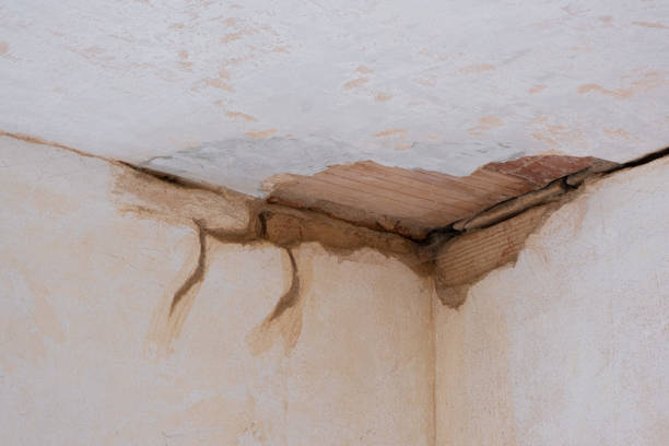Best Water damage restoration cost  in West Freehold, NJ