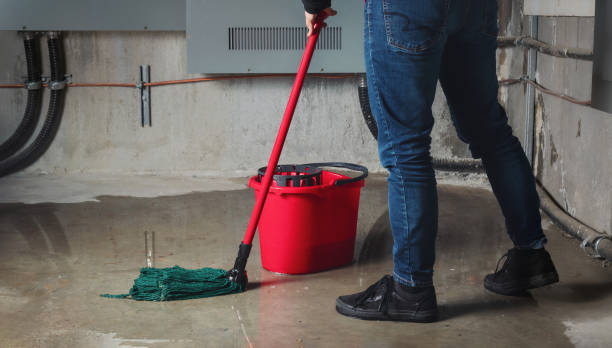 Best Mold removal after water damage  in West Freehold, NJ