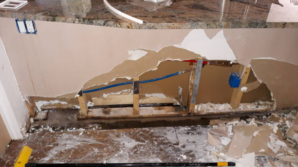 Best Local water damage restoration  in West Freehold, NJ