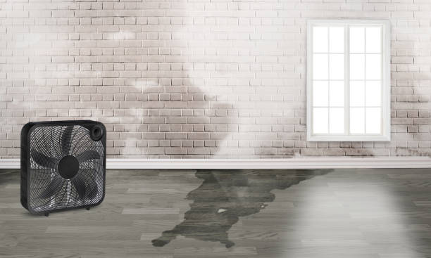 Best 24/7 water damage repair  in West Freehold, NJ