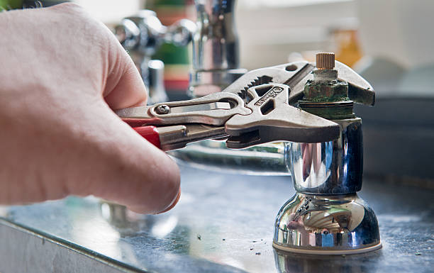 Best Mold removal after water damage  in West Freehold, NJ