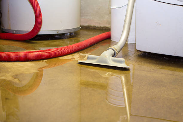 Best Flood restoration services  in West Freehold, NJ