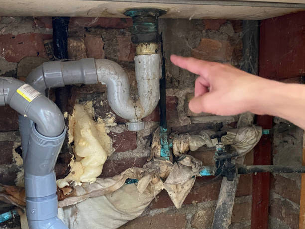 Water damage restoration mold remediation in NJ