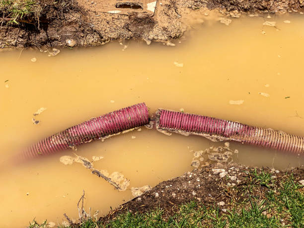 Best Water damage contractors near me  in West Freehold, NJ